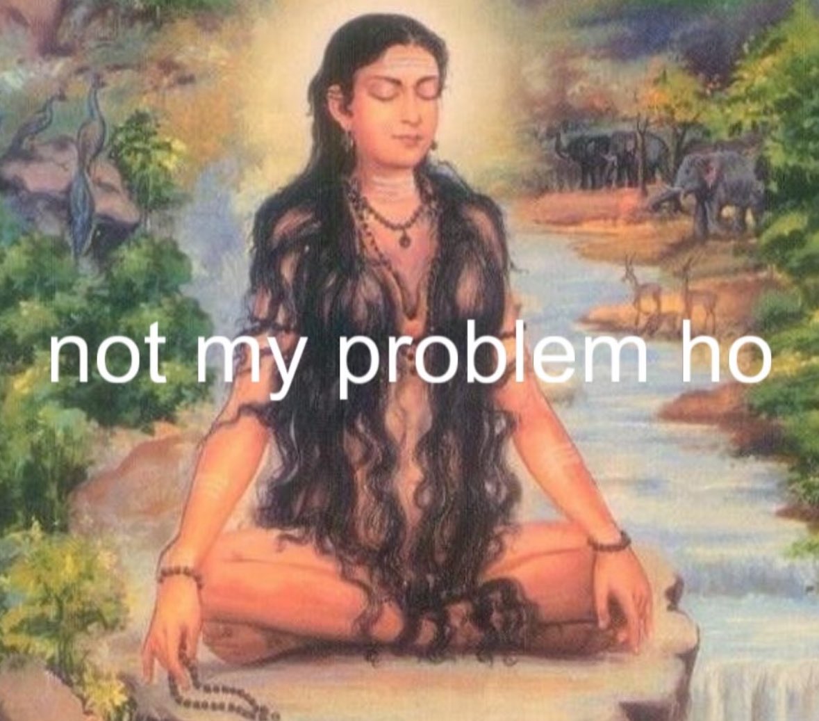 Novelle art. tweet media