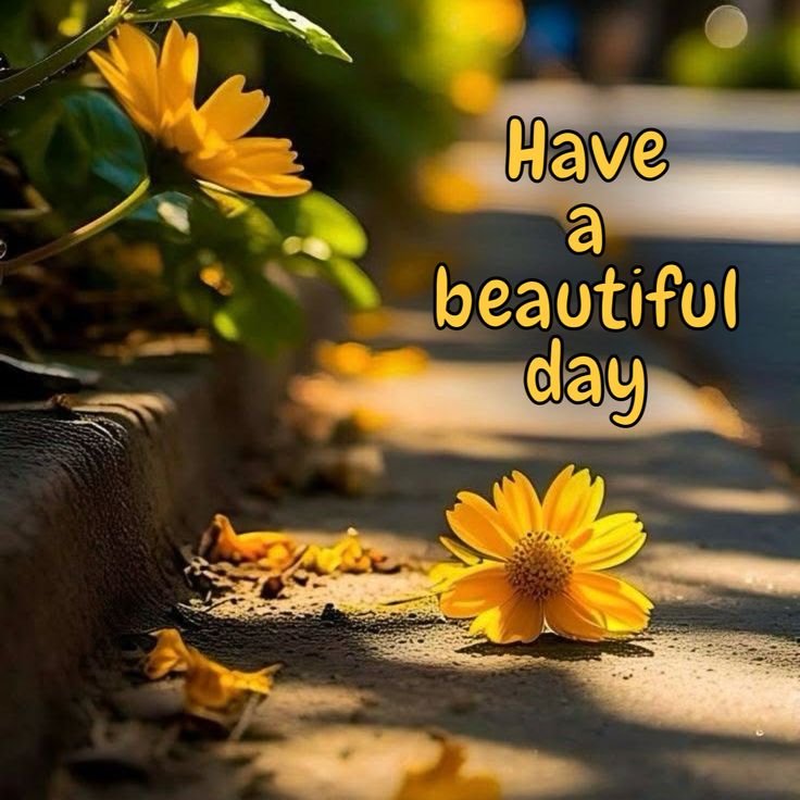 Gerard Browne tweet media