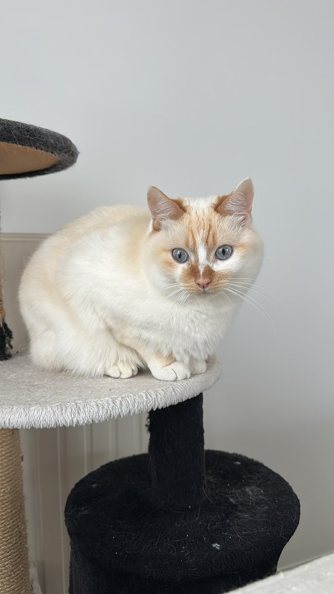 latte cœur lpb tweet media