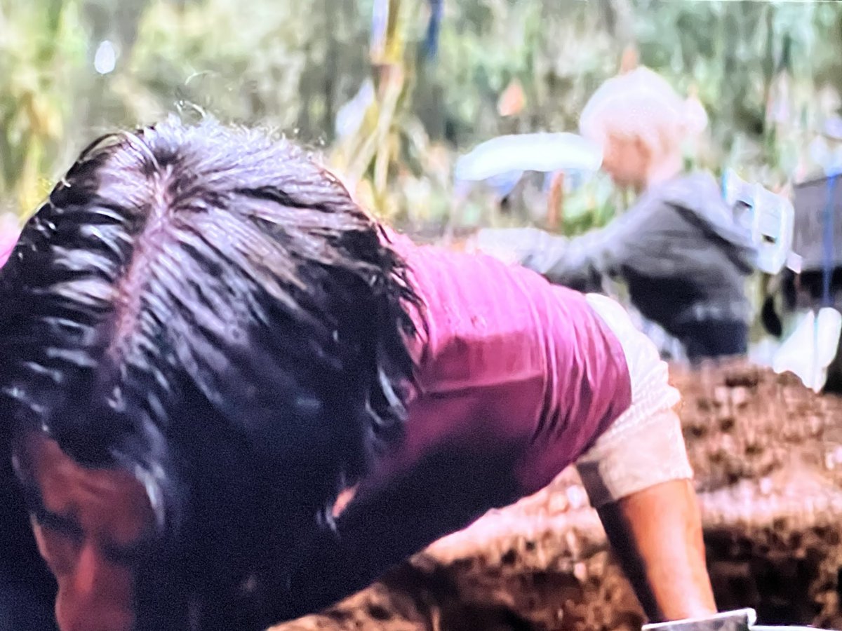 Yellowjackets Cornplate tweet media