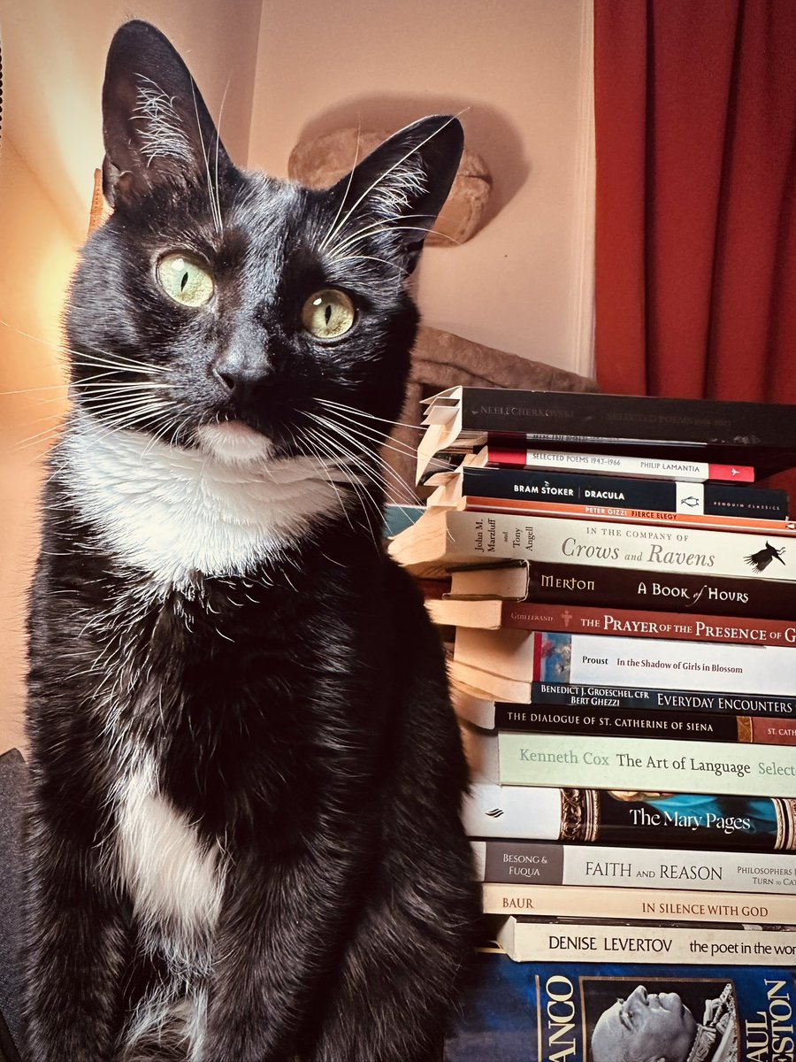 Joseph Massey tweet media