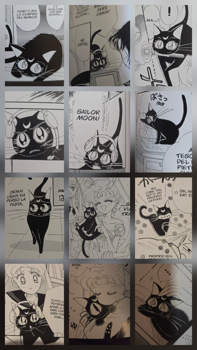 Бульбулятозавр🇺🇦🪴🌻 tweet media