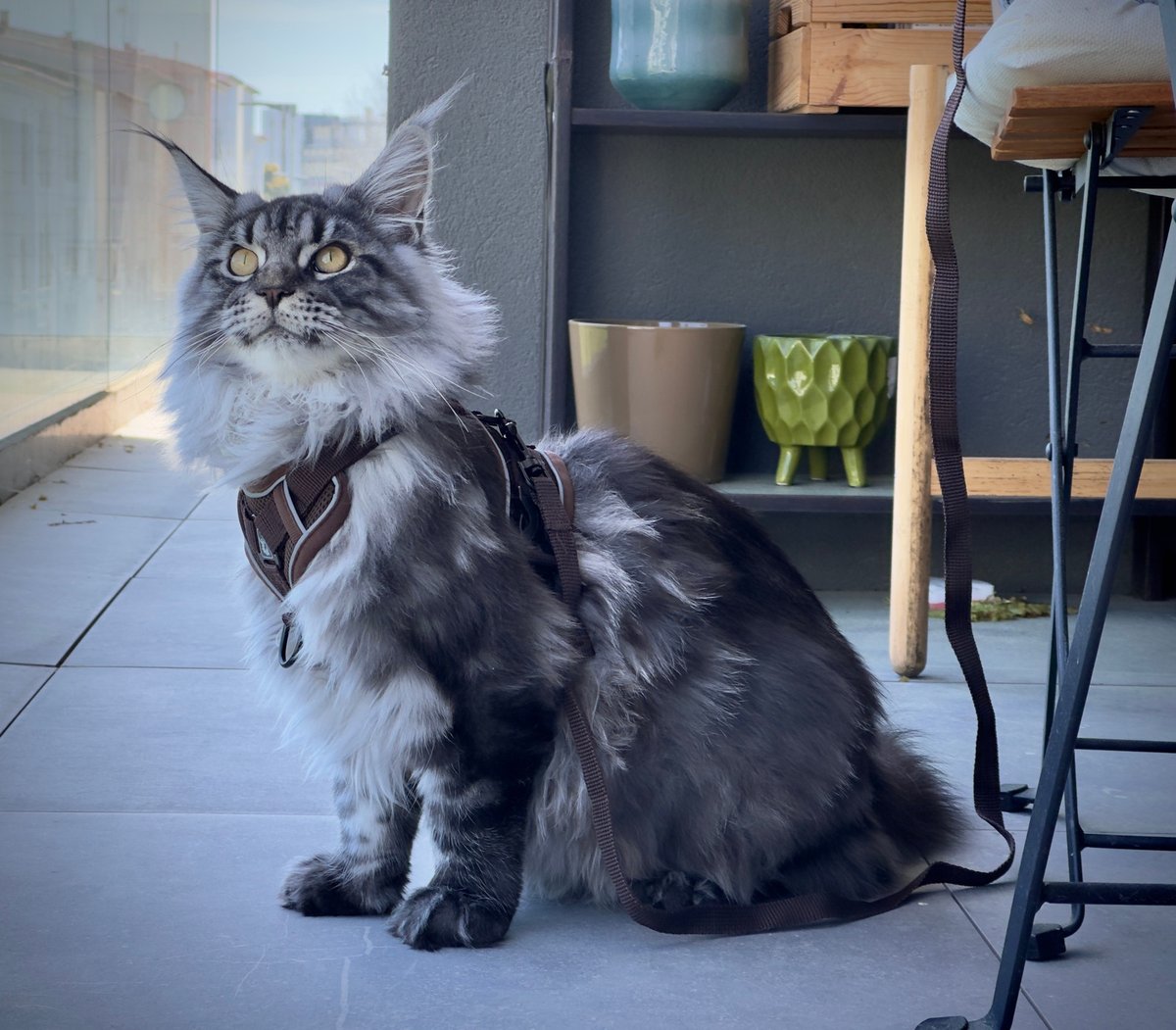 Mad as birds 🍂 tweet media