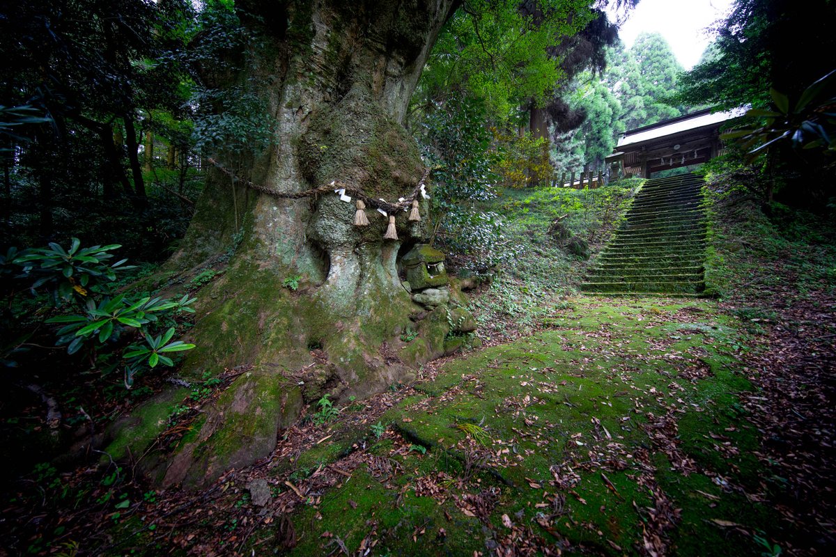 Jordy Meow tweet media