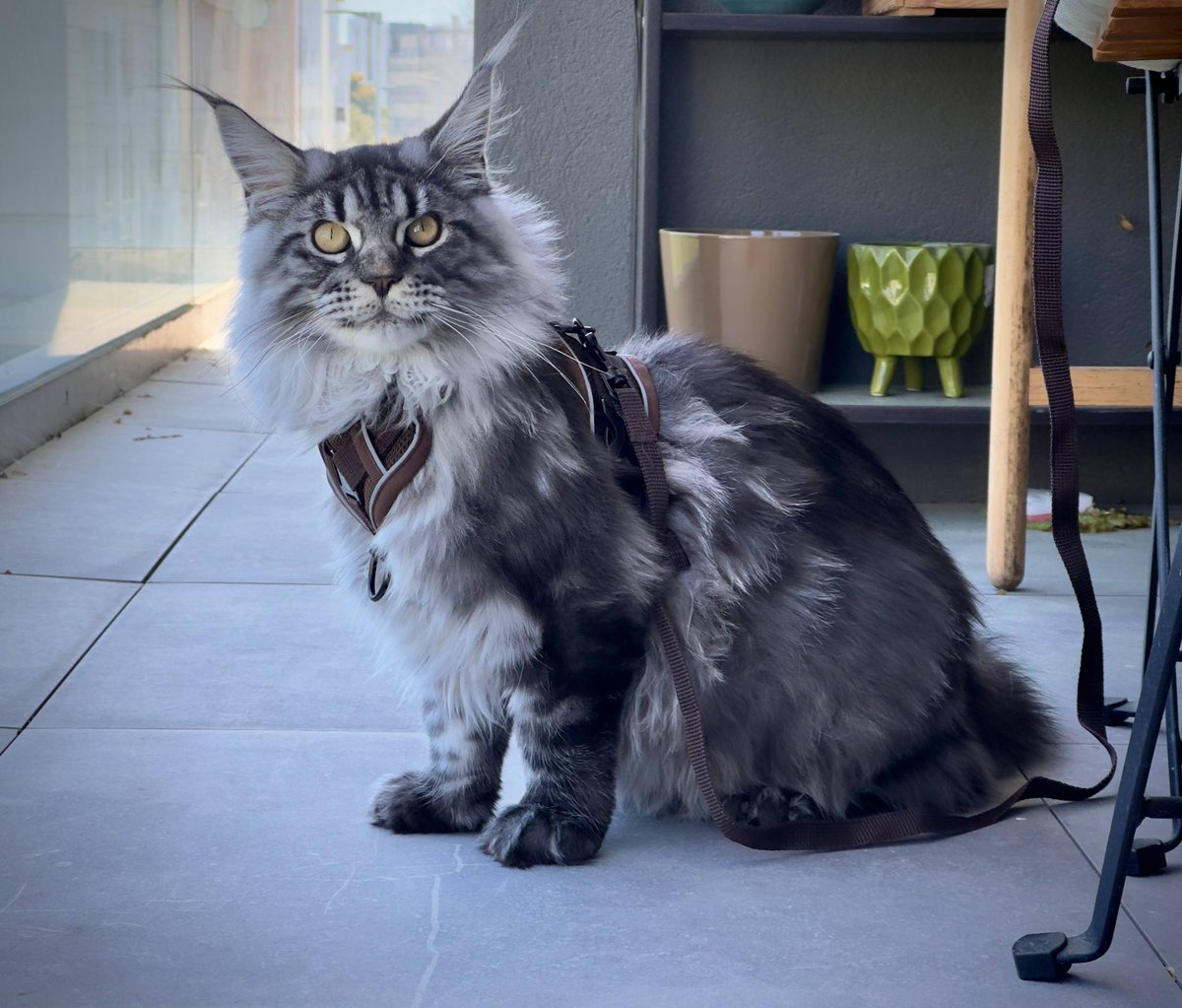 Mad as birds 🍂 tweet media