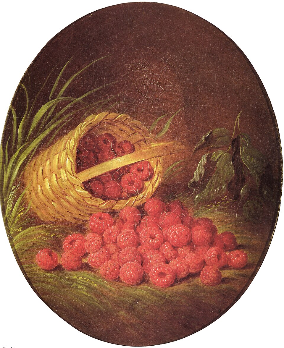 forse proprio tweet media