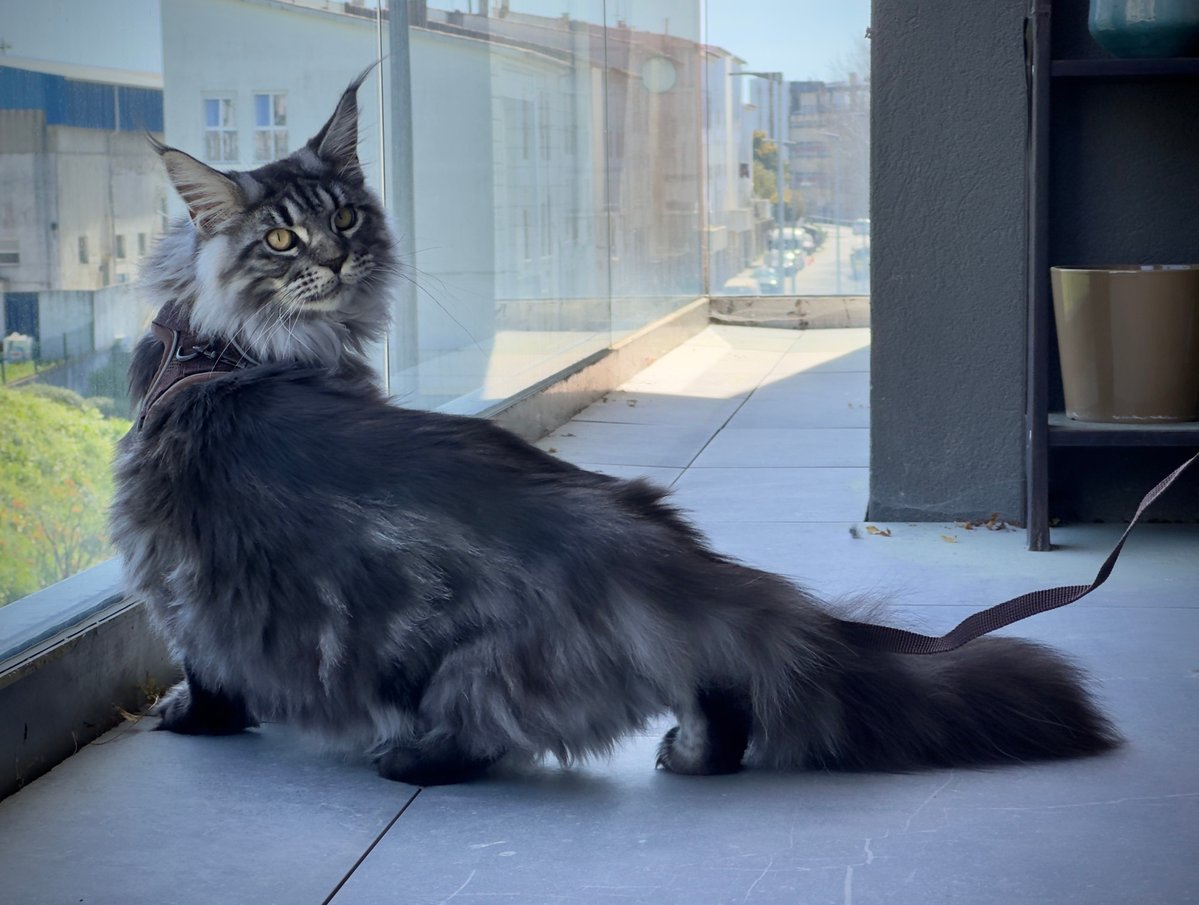 Mad as birds 🍂 tweet media