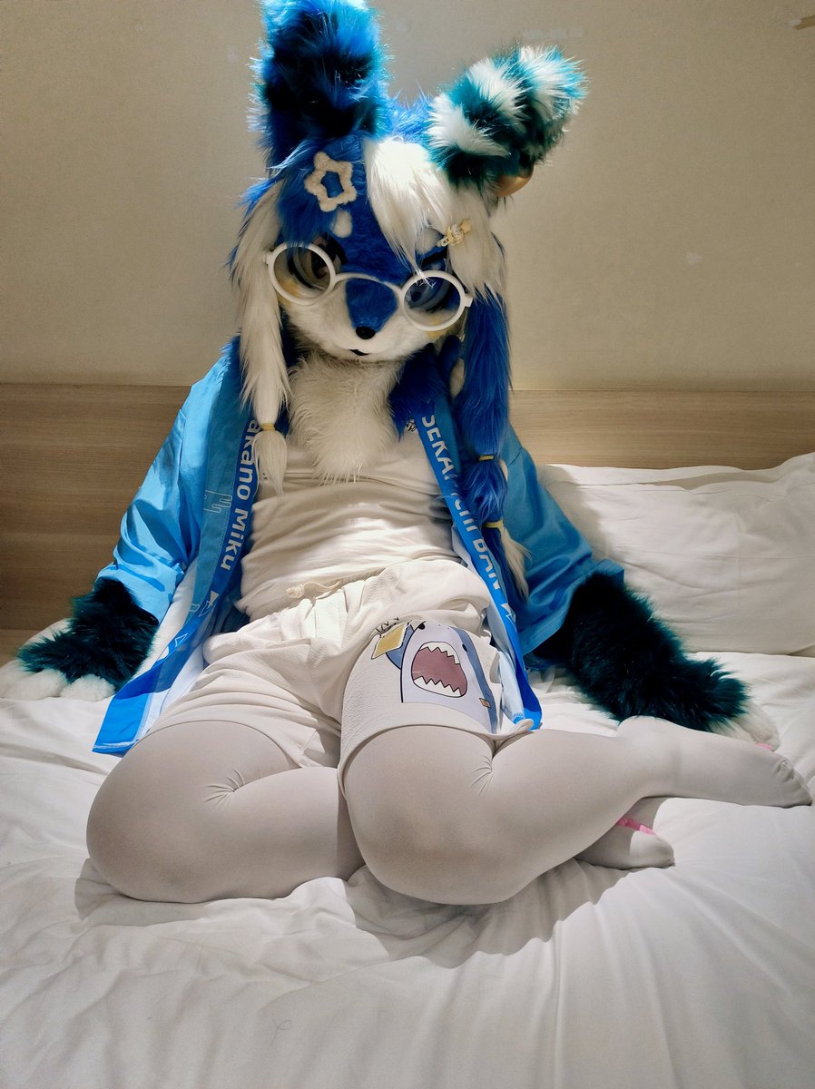 不知道 猫猫鱼的身材很曼妙（？）