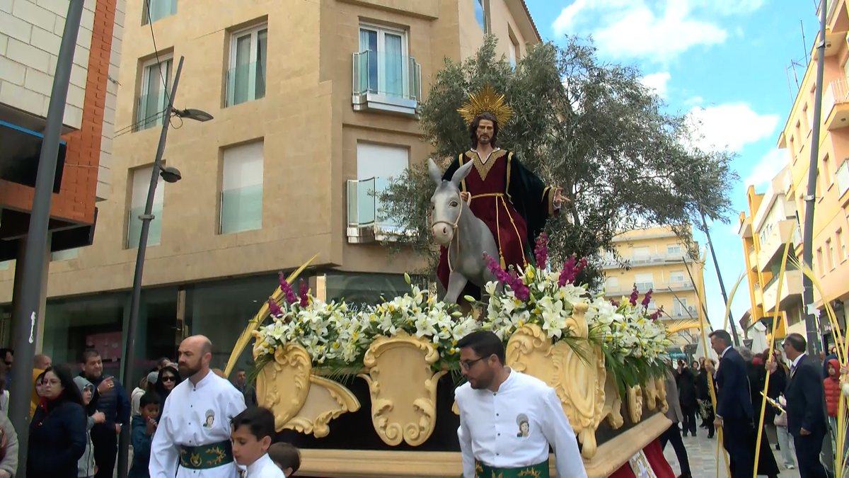 tuweb TV tweet media