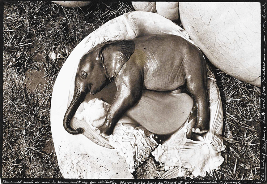 (((Dan Graur))) ダン דן גראור 🇮🇱🇺🇸🇺🇦✌️🖖 tweet media