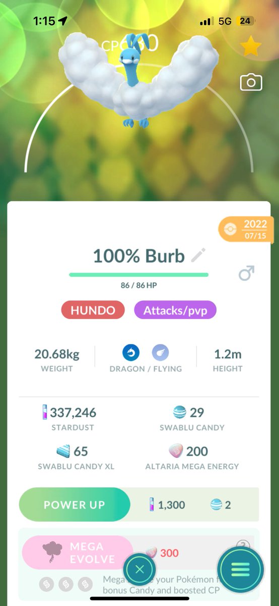 AlexZander#19 tweet media