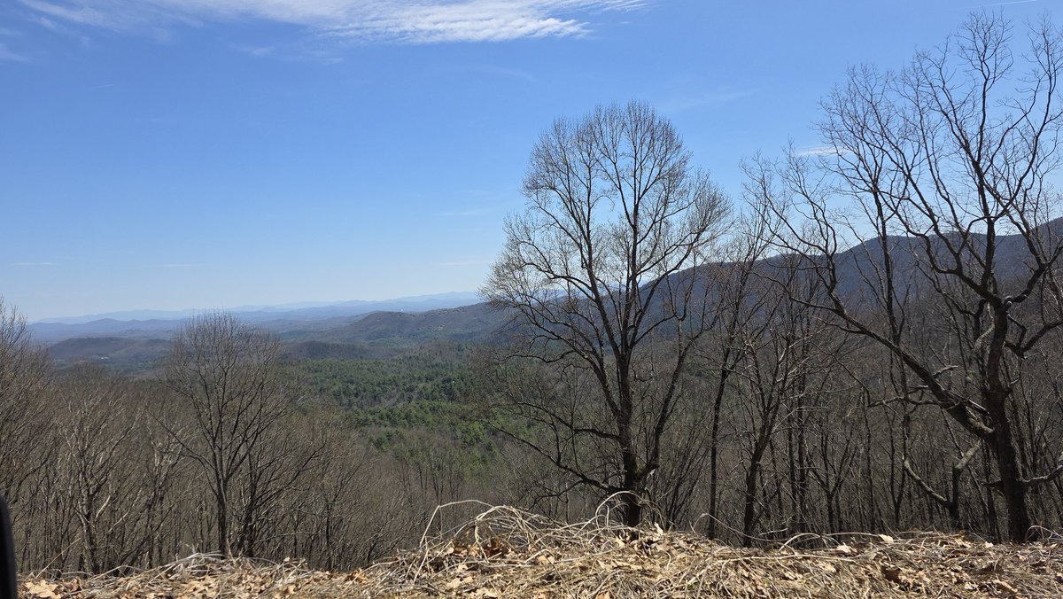 Bigfoot Forensics tweet media