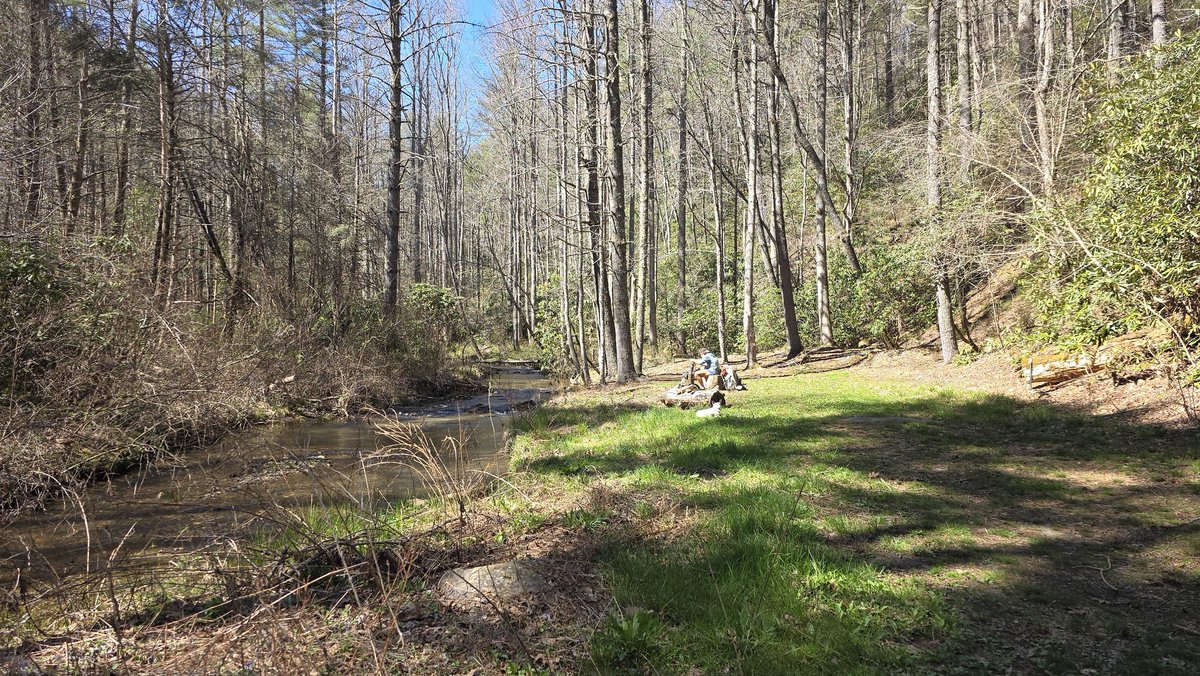Bigfoot Forensics tweet media