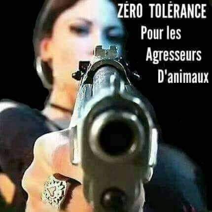 BCP ¯⁠\⁠_⁠(⁠ツ⁠)⁠_⁠/⁠¯ tweet media