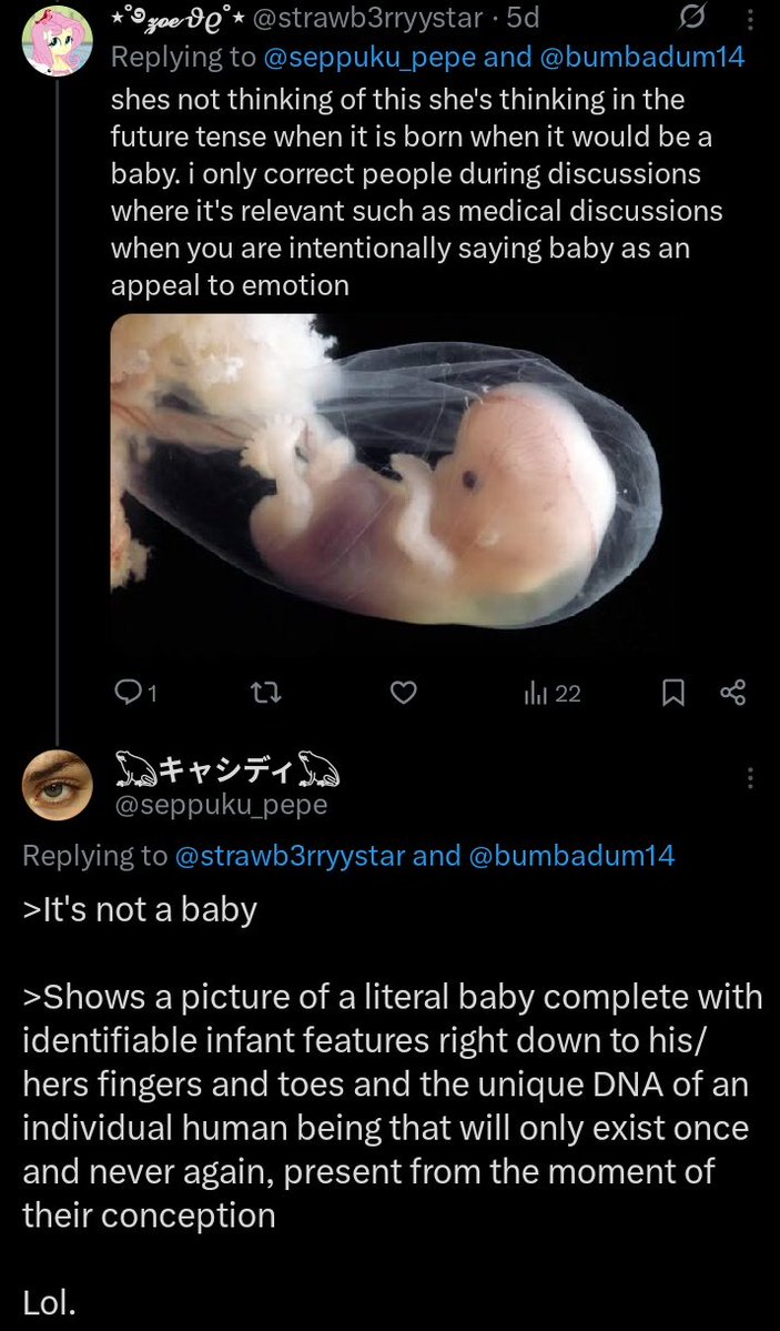 𓆏キャシディ𓆏 tweet media