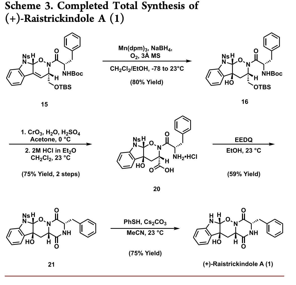 Total Synthesis tweet media