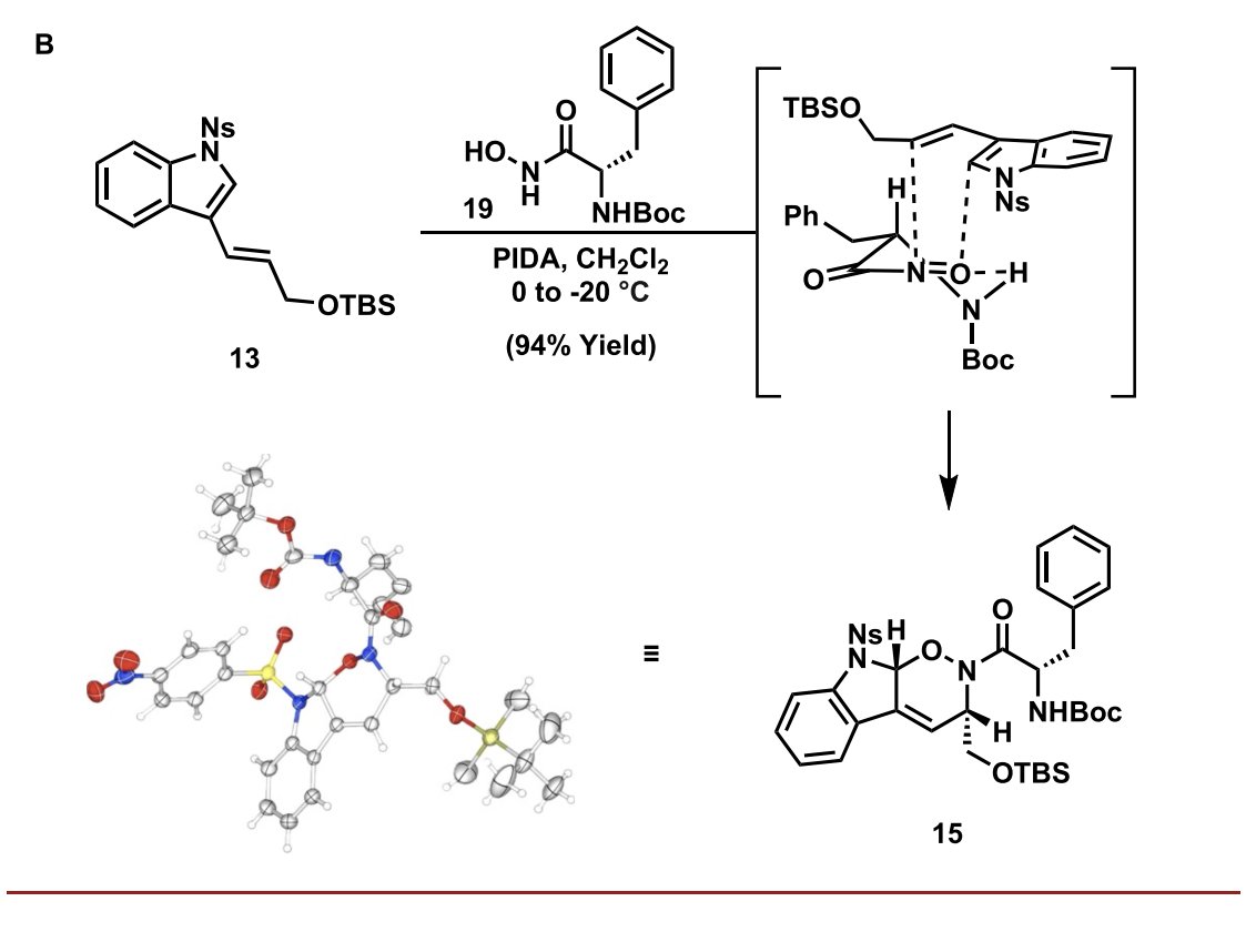 Total Synthesis tweet media