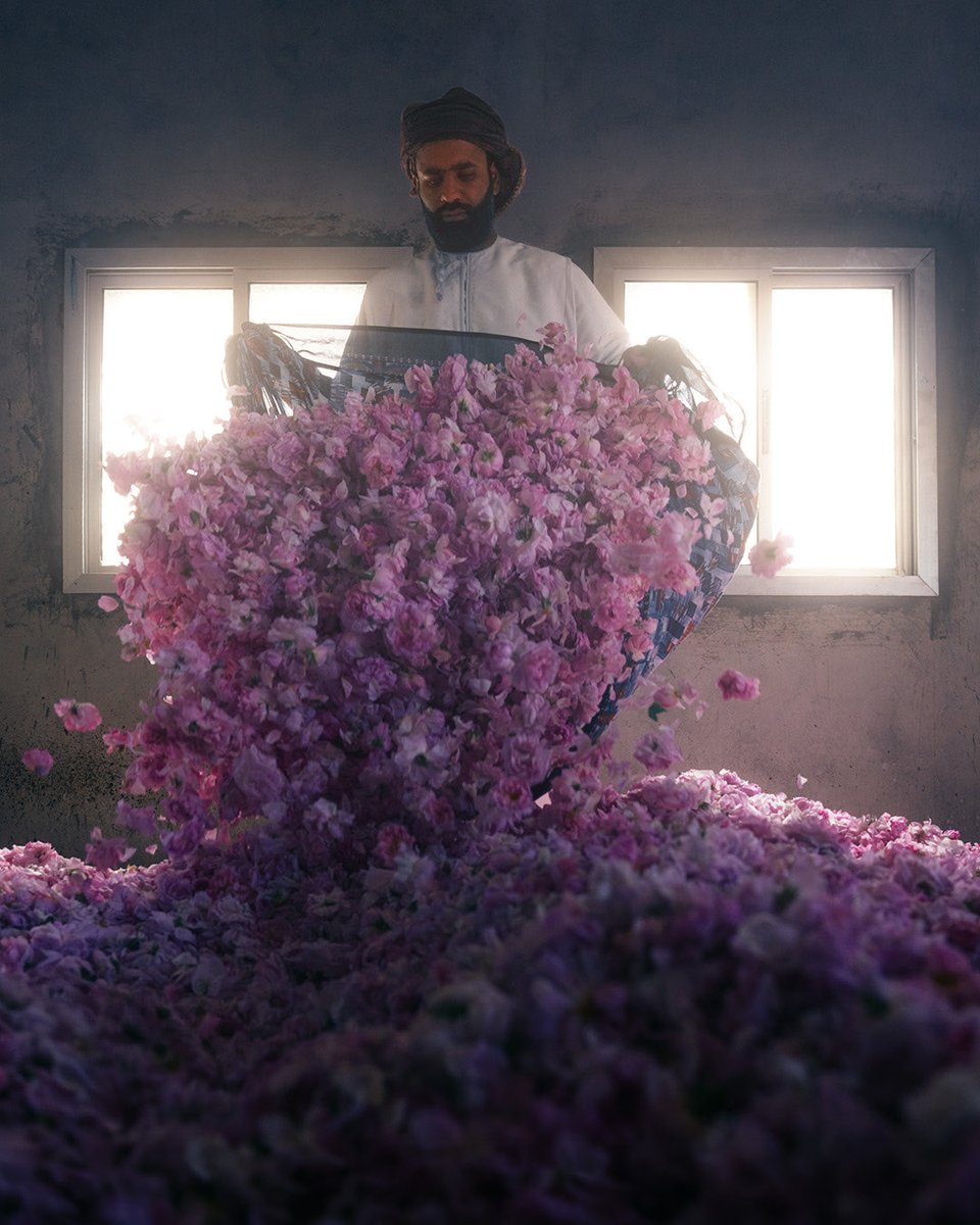 هيثم الفارسي tweet media