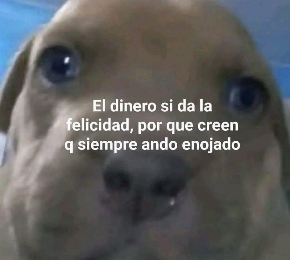 memes feos yo qué sé (@memefeos) on Twitter photo 