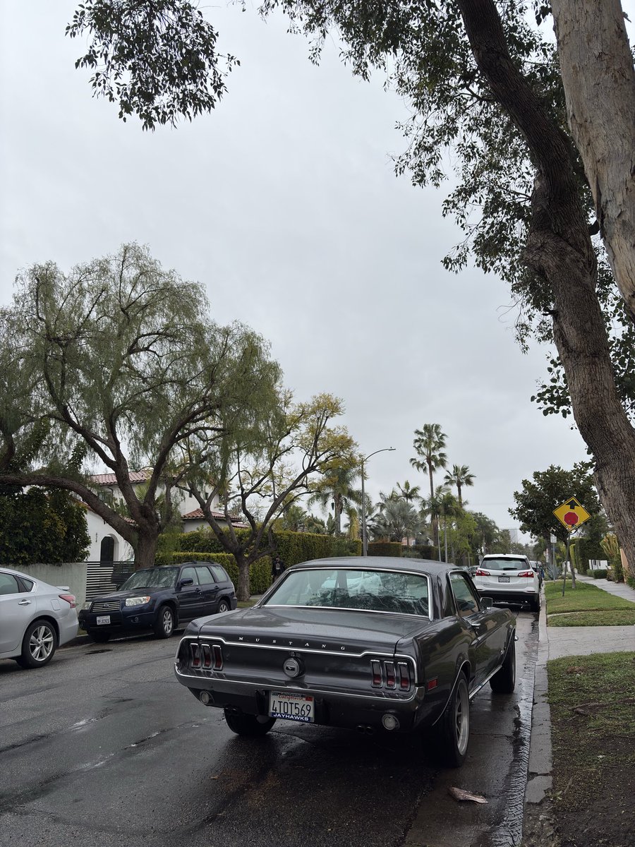 すざく tweet media