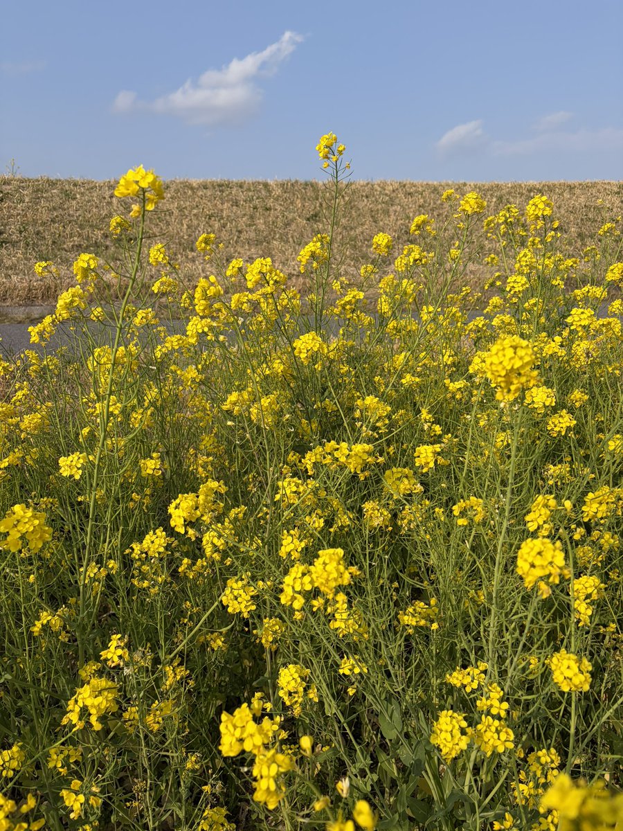 save直me tweet media