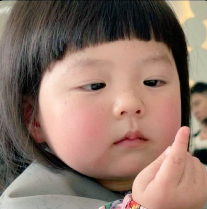 یارا tweet media