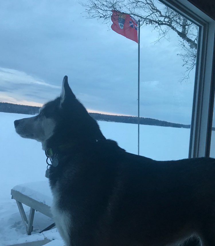 Red Ensign tweet media