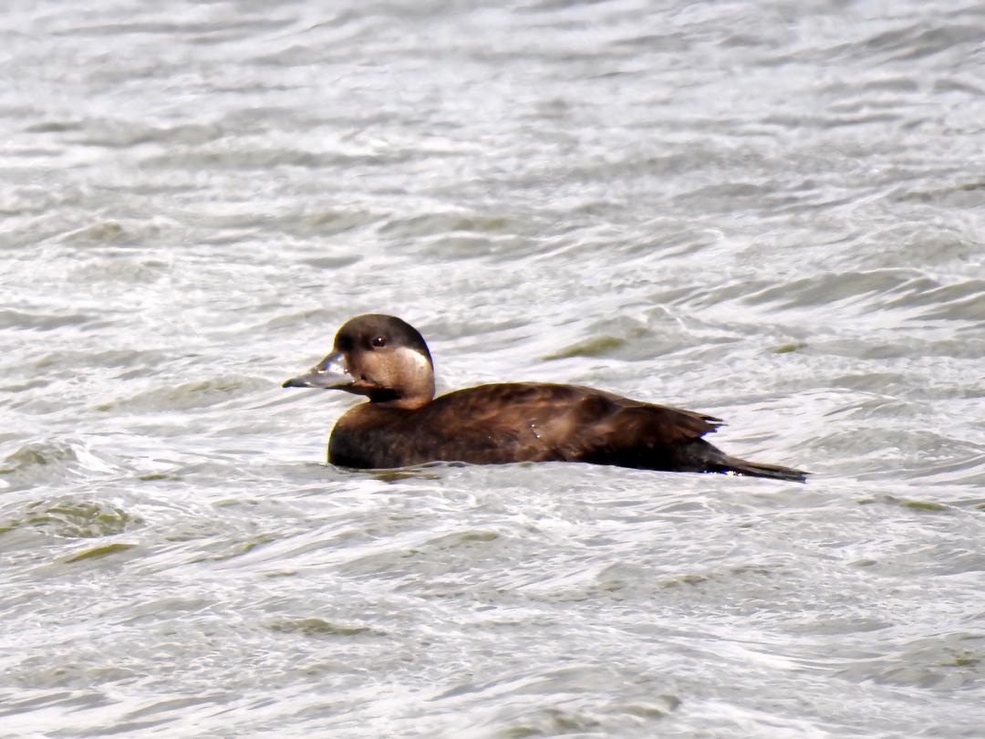 Gary Stones tweet media