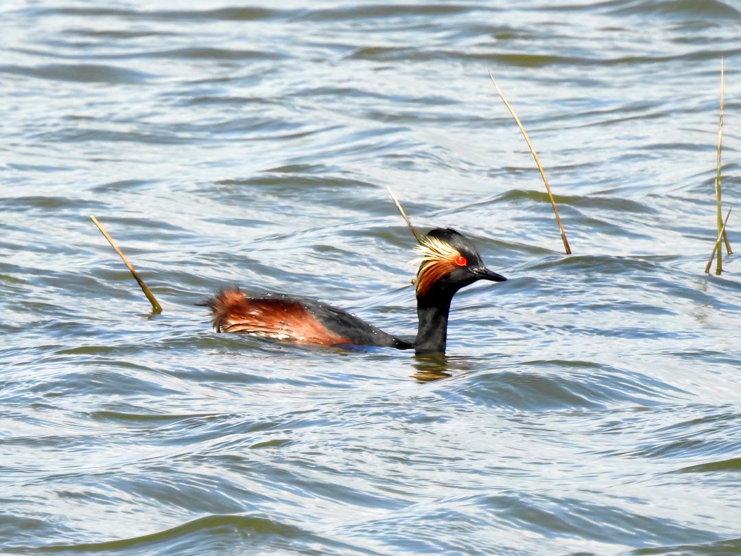 Gary Stones tweet media