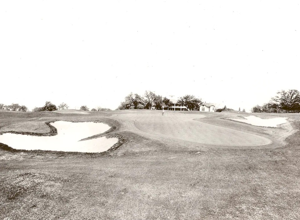 TheGolfDivoTee™  tweet media