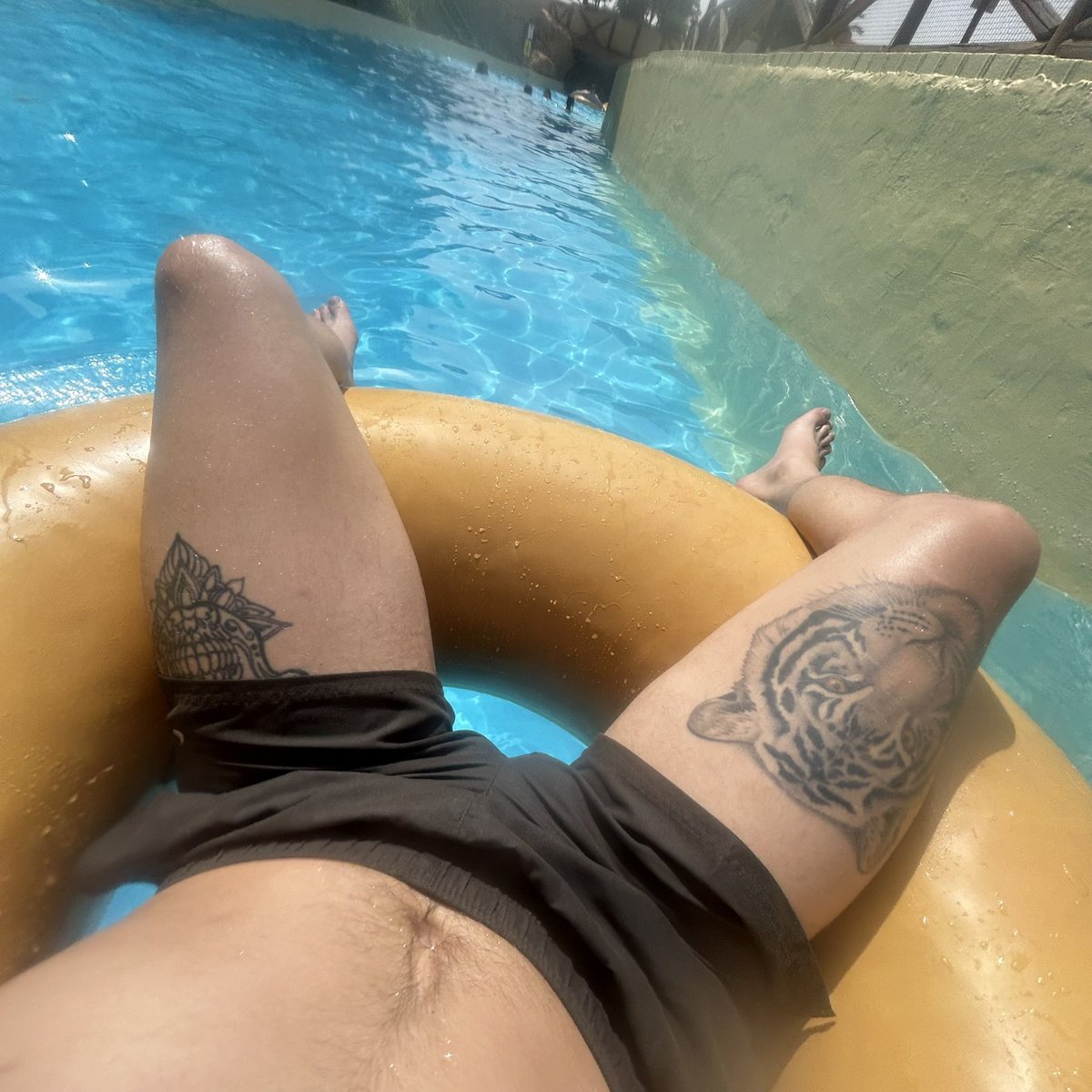 Bradley Boy tweet media