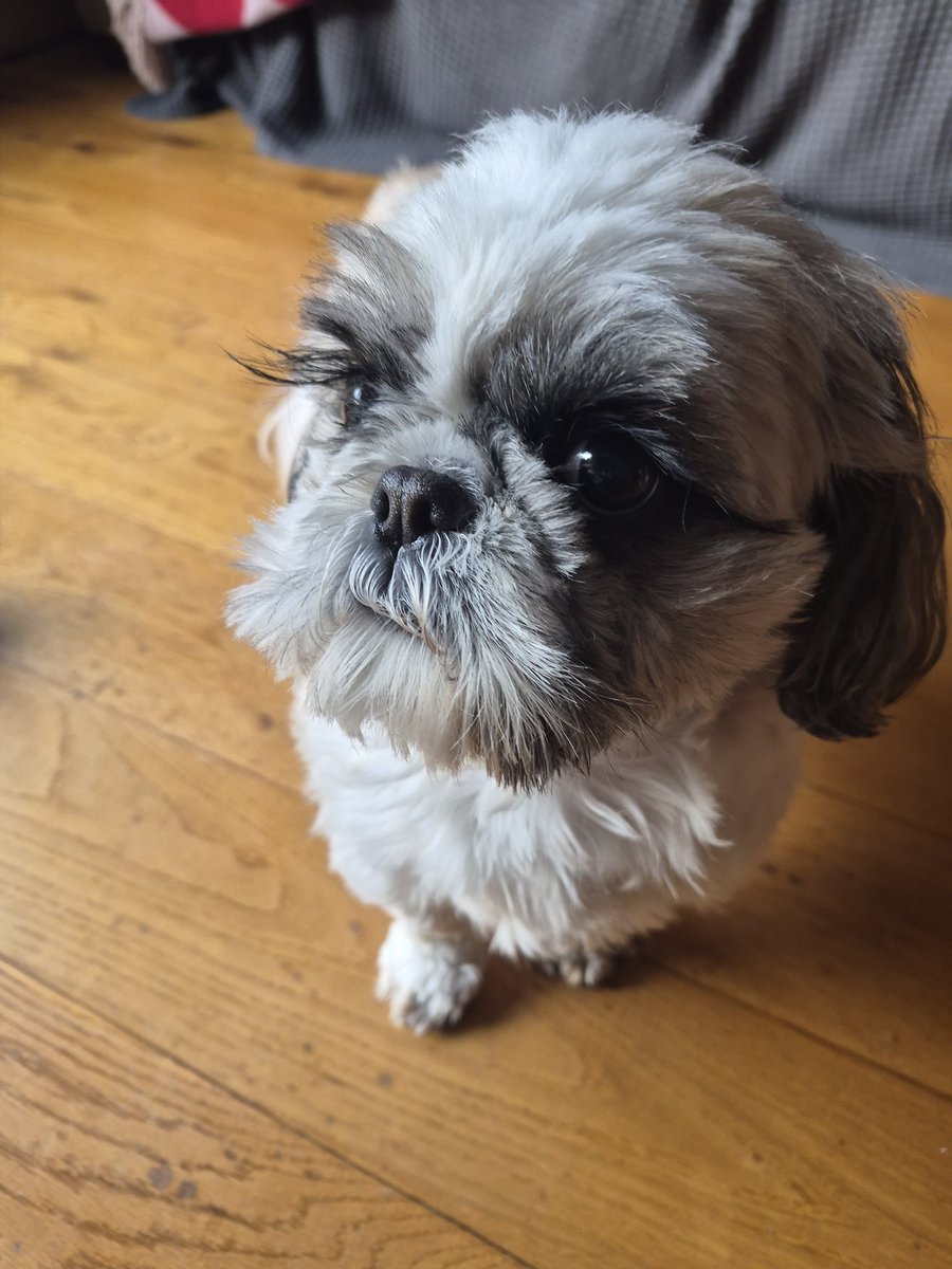 Miami Murphy tweet media