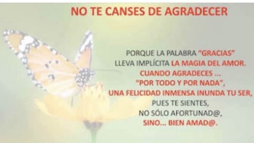 Lizbeth RosasMontero tweet media