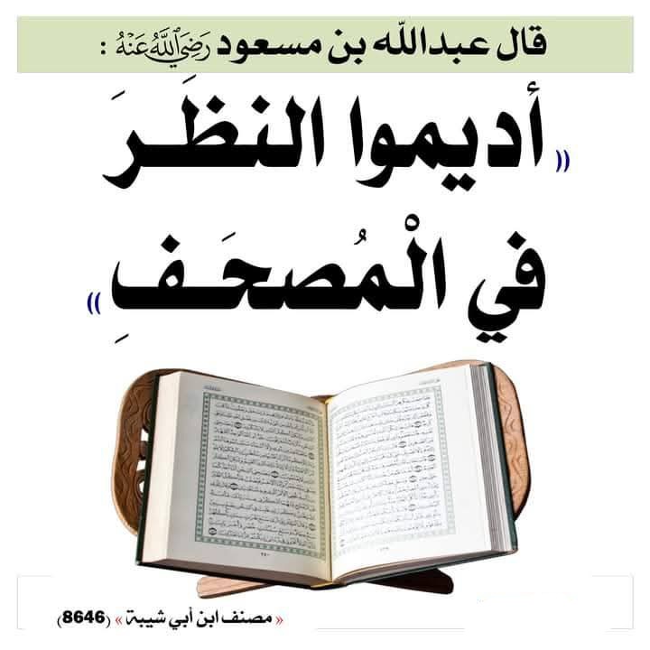العقيدة الصحيحة📚 tweet media