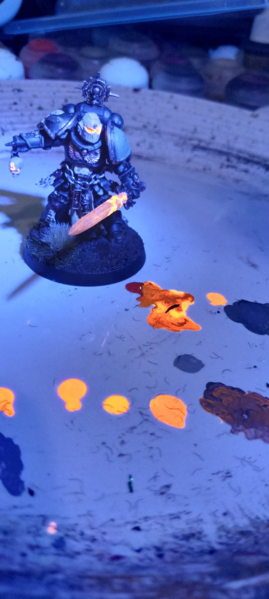 Skeddydou tweet media