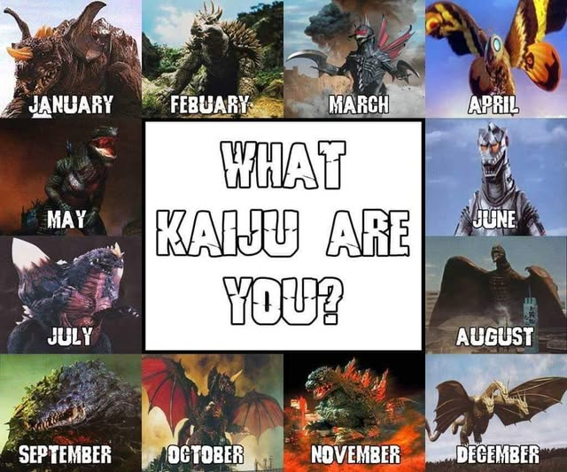 Kaiju (Firefly's Ye Shunguang's husband) tweet media