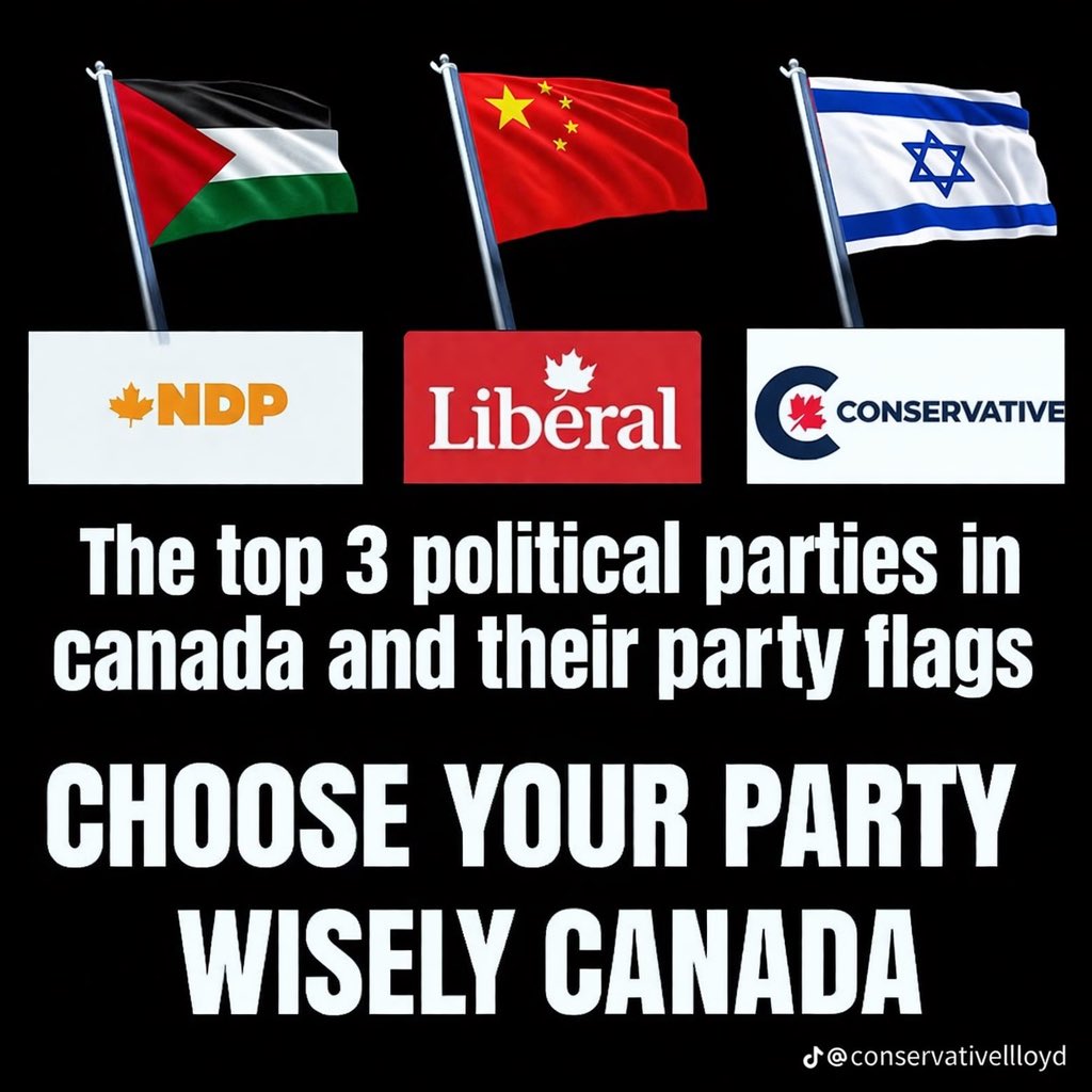 the quiet observer tweet media