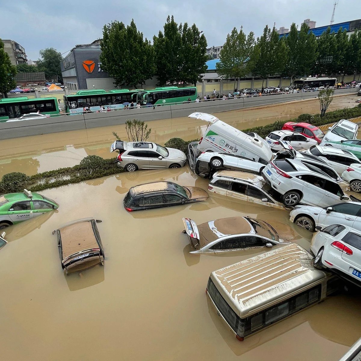 Y2KNW 🇨🇦 tweet media