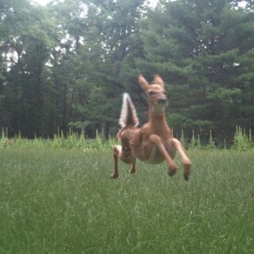 ana ౨ৎ tweet media