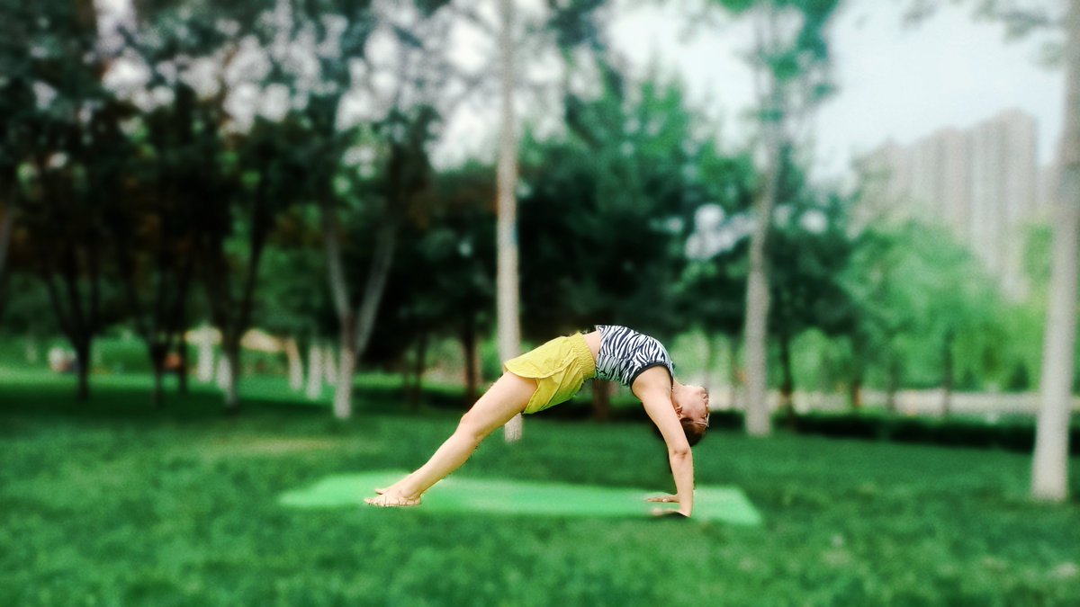 Andrea Reino Webb tweet media