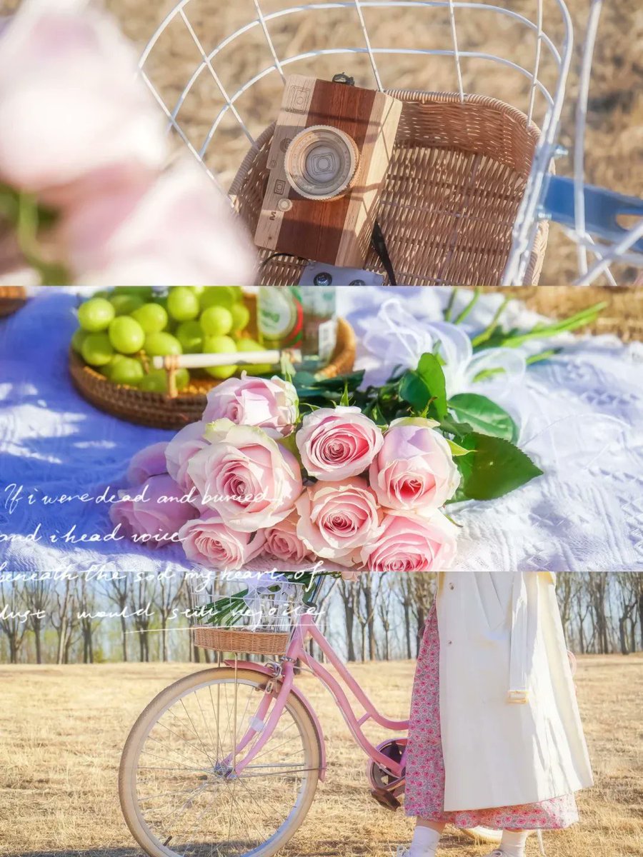 莫道夫 tweet media