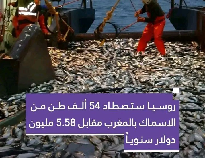 Jamrah 🇩🇿 tweet media