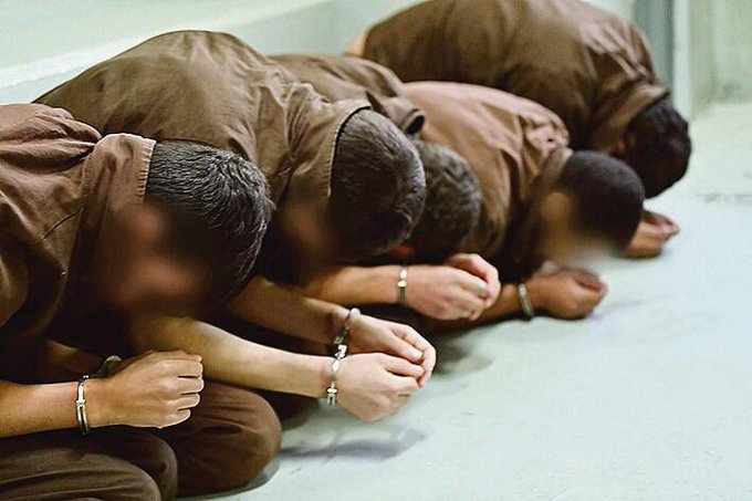 Vivid.🇮🇱 tweet media