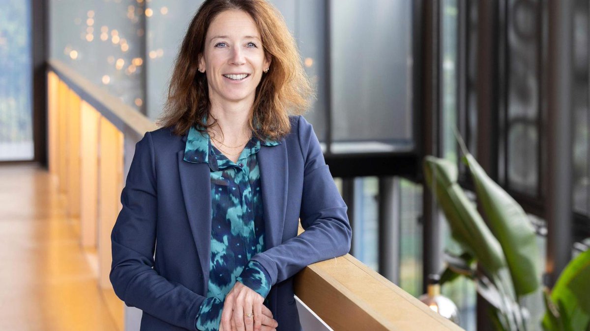 De Telegraaf tweet media