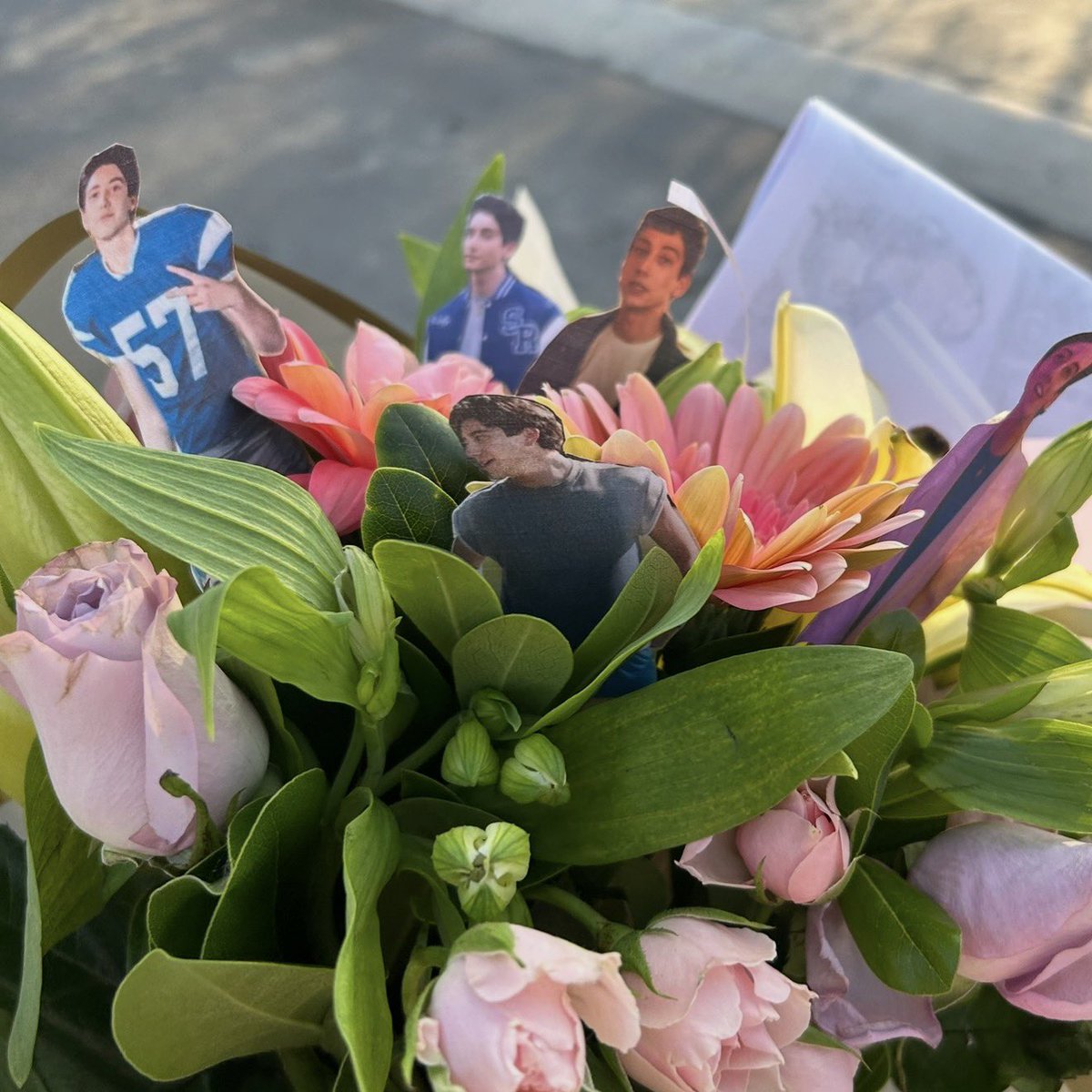 vilu ★ tweet media