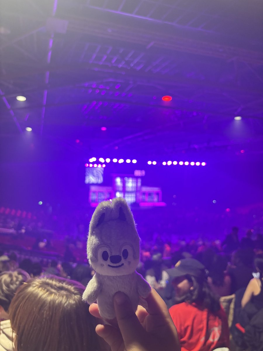 sam 🎠 tweet media