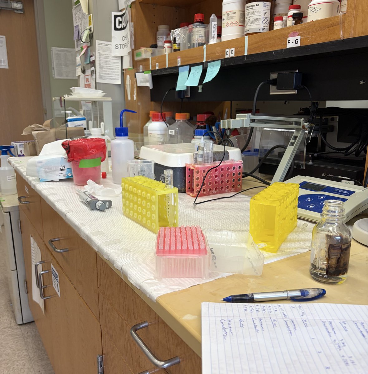 FRANCHAELA BURGER🏰 tweet media