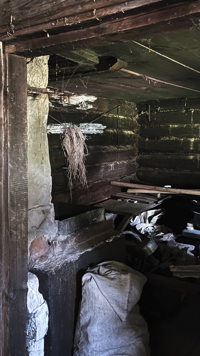 . ݁₊ ⊹ Дед Ленточка . ݁₊ ⊹ . tweet media