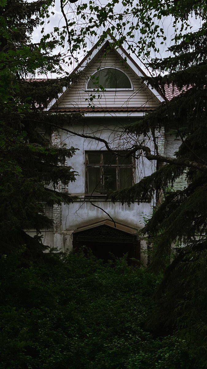 . ݁₊ ⊹ Дед Ленточка . ݁₊ ⊹ . tweet media