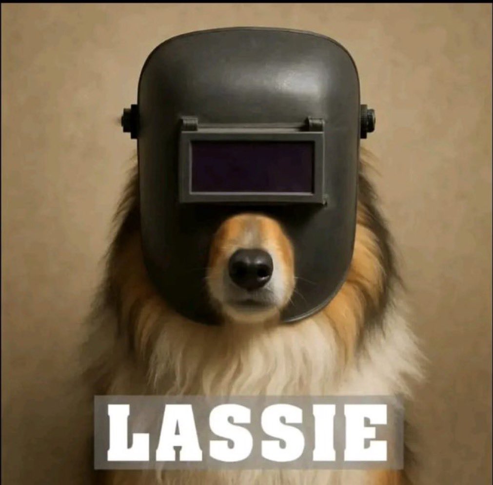 Peter10.0 ⚽️🚶♂️ tweet media